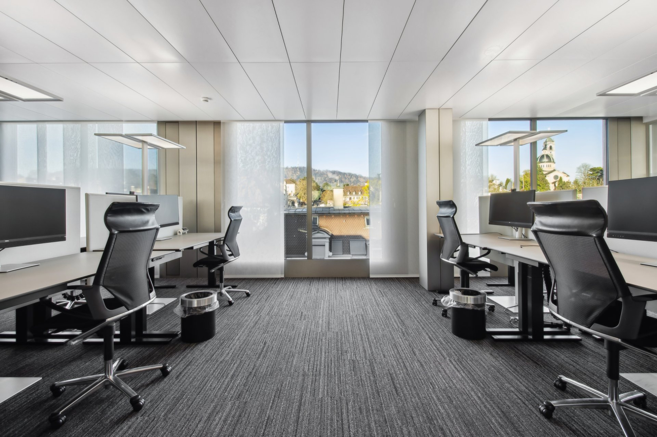 Alfred Escher-Strasse 50